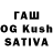 Псилоцибиновые грибы MAGIC MUSHROOMS TrashVirus