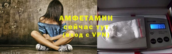 PSILOCYBIN Гусиноозёрск