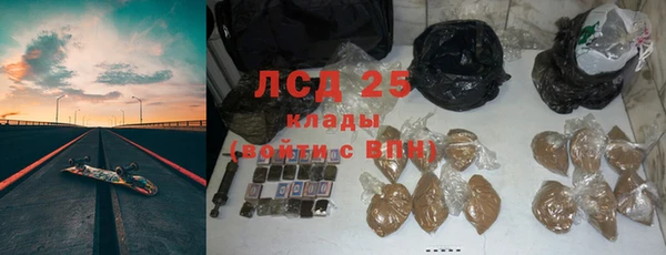 PSILOCYBIN Гусиноозёрск