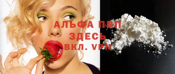 PSILOCYBIN Гусиноозёрск