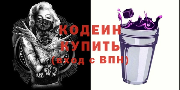 твердый Гусев