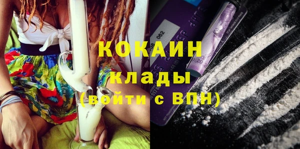 твердый Гусев