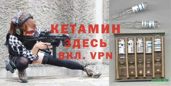 твердый Гусев