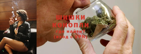 PSILOCYBIN Гусиноозёрск
