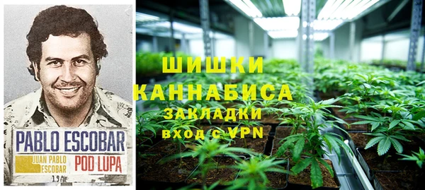 PSILOCYBIN Гусиноозёрск