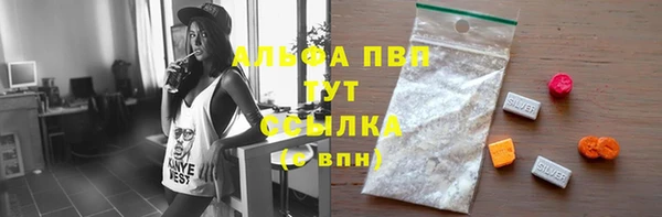 PSILOCYBIN Гусиноозёрск