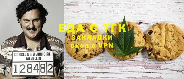 твердый Гусев