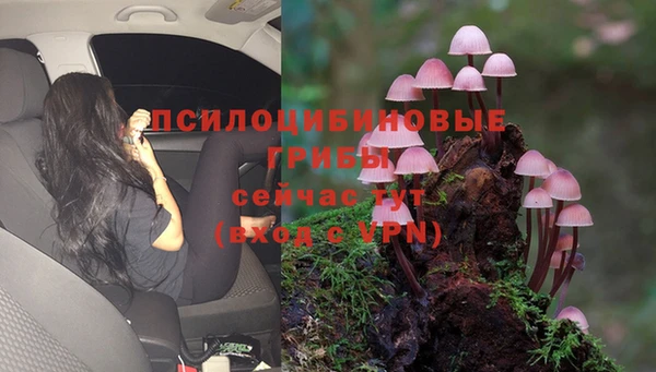 твердый Гусев