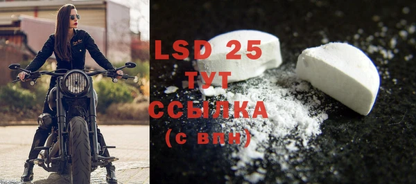 PSILOCYBIN Гусиноозёрск