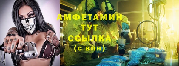 твердый Гусев