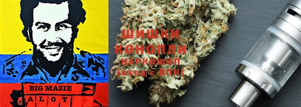 PSILOCYBIN Гусиноозёрск