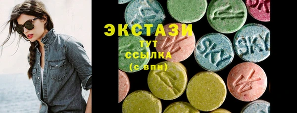 твердый Гусев