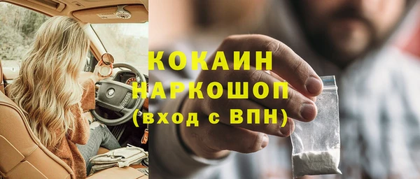 твердый Гусев
