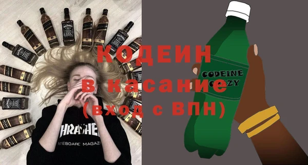 твердый Гусев